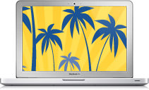 Expedia Flash banner ads