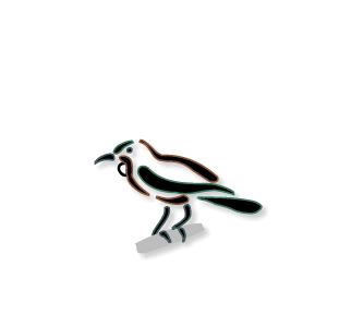 Karori Garden Centre - homepage with tui