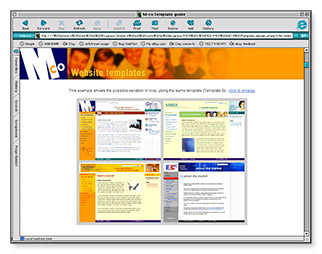 M-co Design Standards - intro page
