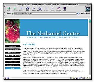Nathaniel Centre - homepage