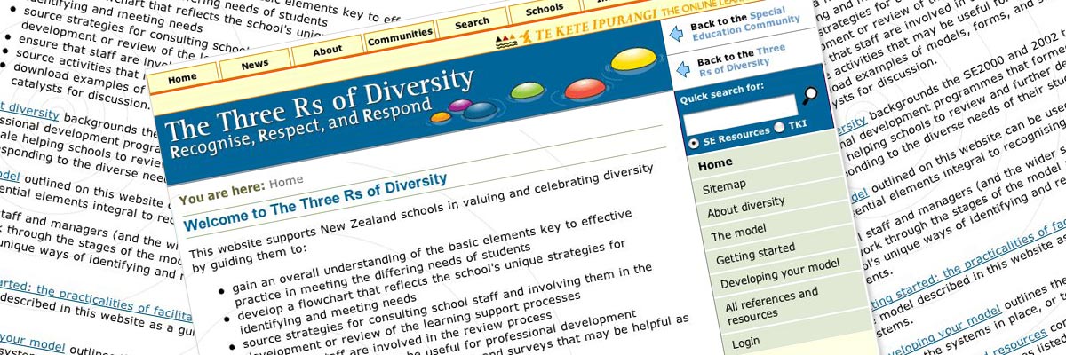 Three Rs of Diversity website design details